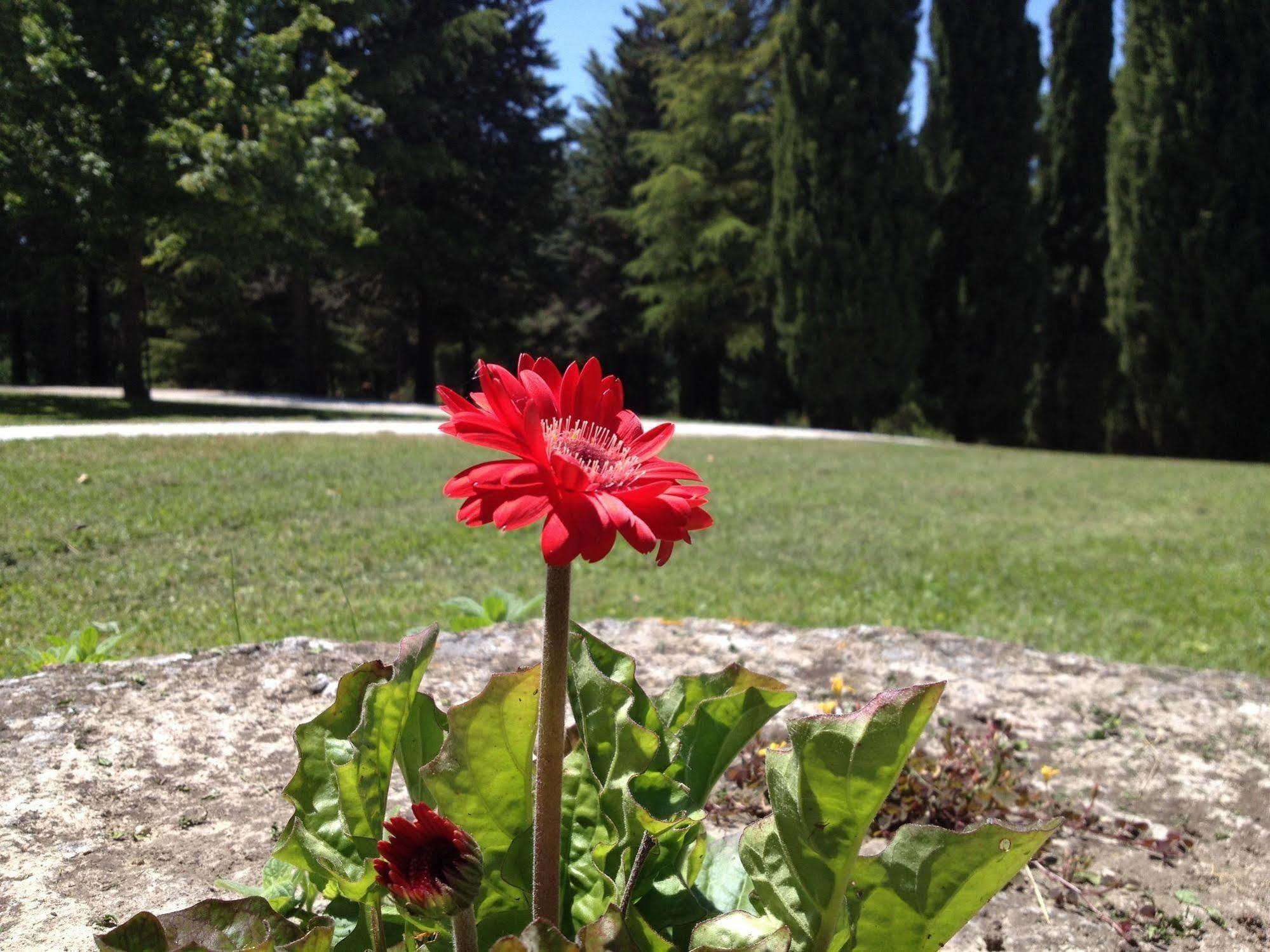 Bed and Breakfast Convento Di San Francesco Mondaino Exterior foto